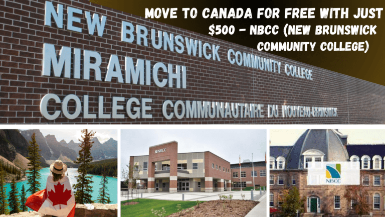 Move To Canada for Free With Just $500 – NBCC (New Brunswick Community College)